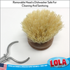 Replacement Head For "The Original" Tampico Vegetable & Dish Brush - Small Head