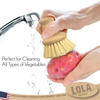 "The Original" Tampico Le Brush - Tampico Bristle Vegetable Brush with Comfort Wood Knob