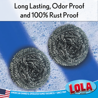 Stainless Steel Scourer - 12 Pack, 3" x 3" x 2" pad, #4322, LOLA