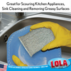 Wonder Scourer Non-Scratch Scouring Pad (Assorted Colors)