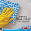 Anti-Microbial Clean n' Wipe Cloths - Comparable to Clorox Handi Wipes - 6 pack