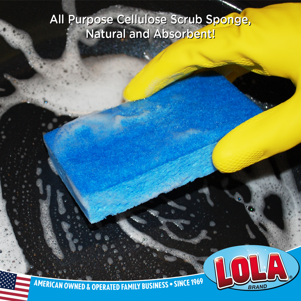 Cellulose Dish Sponge with Coconut Scrubber — Simple Ecology