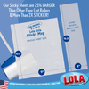 Lola Rola Sticky Mop w/ 4 piece handle