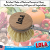 Replacement Head For "The Original" Tampico Vegetable & Dish Brush - Small Head