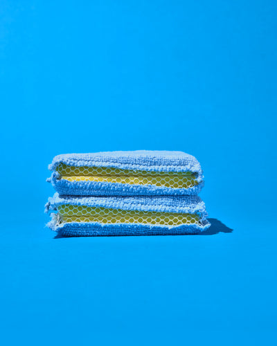 Lola Products Microfiber & Nylon Net Sponges: 2 Dual Sided Nylon Net Sponge Pads, Non-Scratch and 2-Sided Cleaning Sponge Pads, 4 Pack Combo