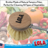 Replacement Head For "The Original" Tampico Vegetable & Dish Brush - Small Head, Item# H324, LOLA PRODUCTS