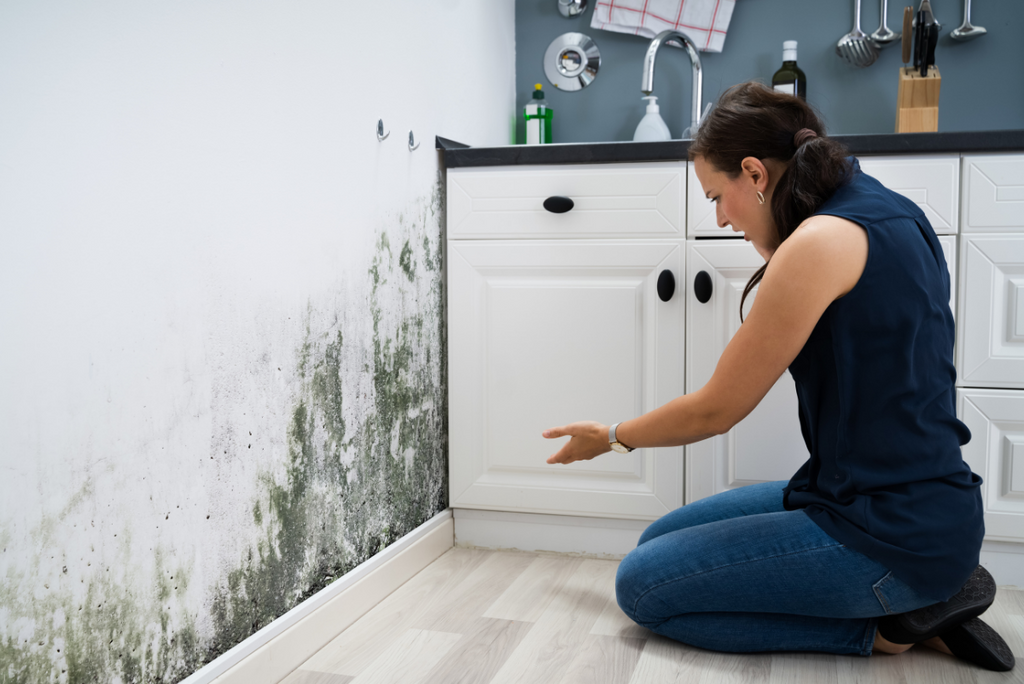 Don't Let Black Mold Take Over Your Home - Get Rid of It!