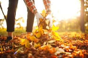 Tips for That Eco-Friendly ’Fall Cleaning’