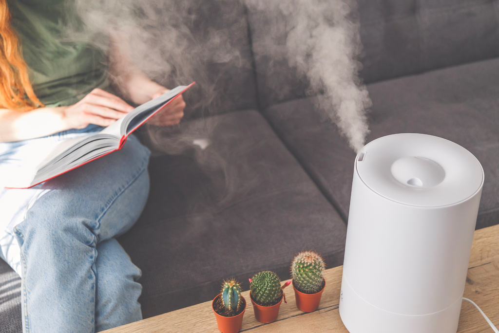 Useful Tips to Easily Clean Your Humidifier
