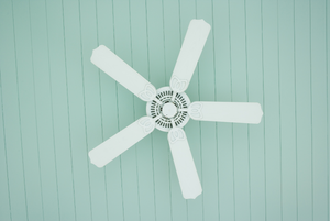 Look Up! Don't Take Your Ceiling Fan for Granted.