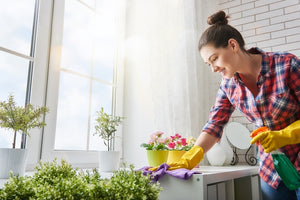 ONE CLEANING GUIDE TO RULE THEM ALL: General Tips for All Homeowners