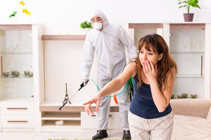SECRET LIFE OF PESTS: How To Deal With Pest Infestation Using Regular Cleaning Tools