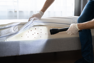 They’re Not on Vacation: 7 Sneaky Spots Bed Bugs Hide When You Travel