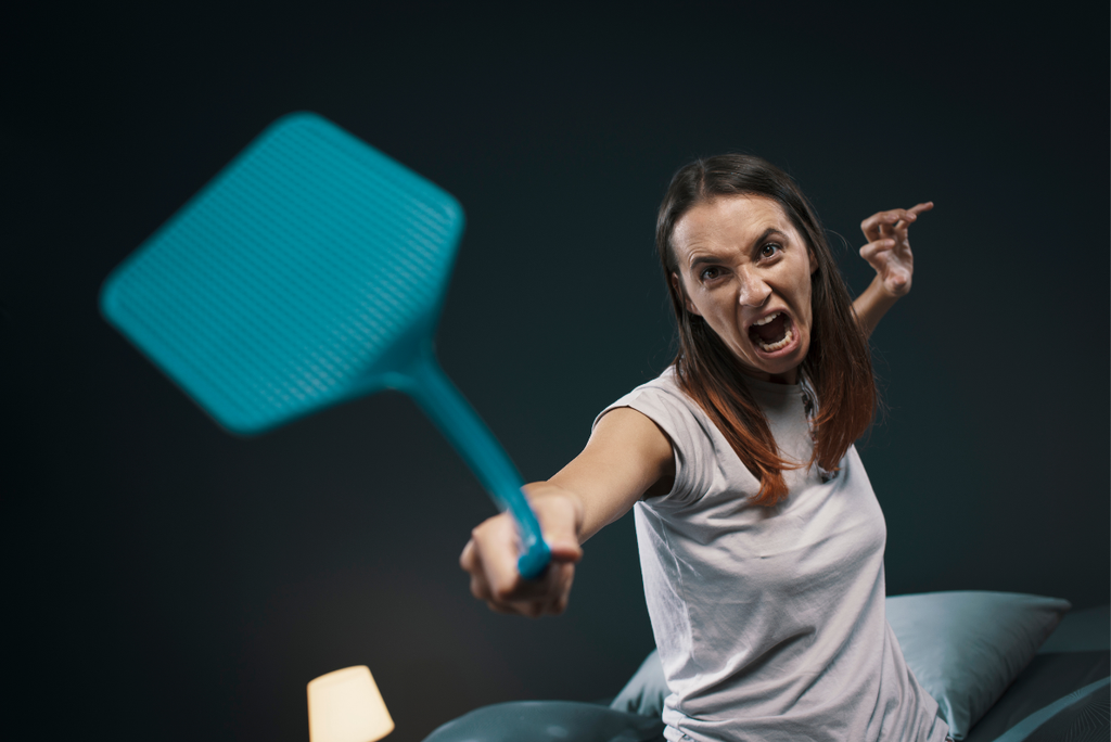 Buzz Off, Bloodsuckers! 5 Genius Tricks to Kick Mosquitoes Out of Your Home for Good