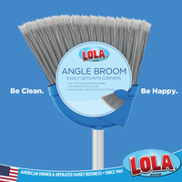 Broom, for hard surfaces, #1019, LOLA