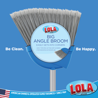 Lola Products LARGE Angle Broom, 13" Wide Head is made w/ Recycled Soda Bottle Bristles