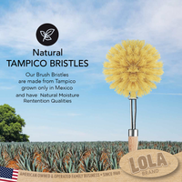 "The Original" Tampico Vegetable & Dish Brush - Small Head - Pack of 6
