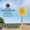 "The Original" Lola Tampico Vegetable & Dish Brush | Small Head Refill