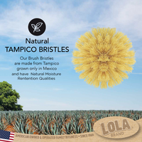 Eco-Friendly Cleaning with "The Original" Tampico Le Brush - Tampico Bristle Vegetable Brush with Comfort Wood Knob