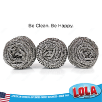 Stainless Steel Scourers - 2 pack