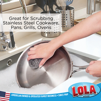 Jumbo Curled Flat Wire Stainless Steel Scourer - 12 Pack, #4322, by LOLA Brand