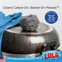 Stainless Steel Scourer - 12 Pack, 3" x 3" x 2" pad, #4322, LOLA