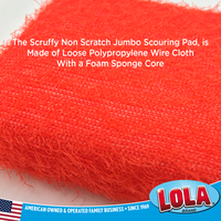 Non Scratch Scouring sponge Pad, Item # 446, LOLA Cleaning