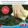 LOLA Nylon Net & Sponge Cleaning Pad | Non Scratch Scrubbing pads | Similar to Turn-A-Bout Sponges | Safe On Non-Stick Surfaces and Coated Cookware | Gentle Effective Cleaning | 12 Pack