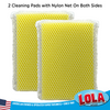 Microfiber Cloth One Side & Nylon Net Other Side -2 Pack & All Nylon Net Cleaning Pad Both Sides-2 Pack, Assorted 4 pack