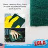 scour pad, 527, lola cleaning