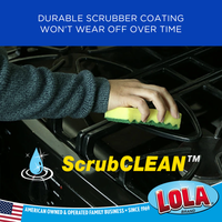 scrub sponge, Item# 5522, LOLA Brand, cleaning dishes
