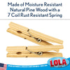 Wood Spring Clothespins - 50 count