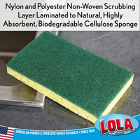 Cellulose Sponge and Scourer