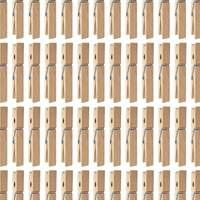 Wood Spring Clothespins - 300 count