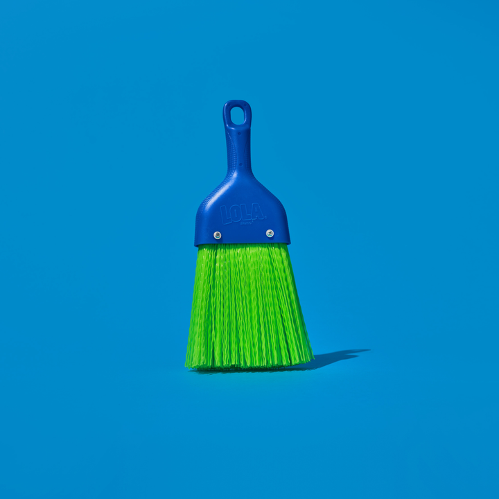 Whisk Broom - Handheld